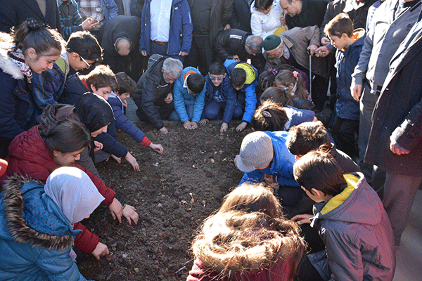 Artvinde Lale sevgisi