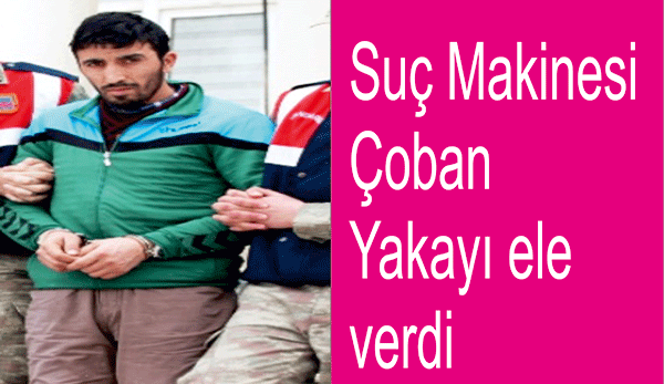 Suç makinesi Çoban yakalandı