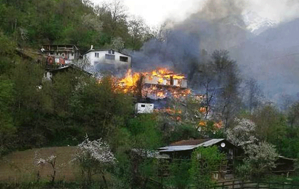 Yangın Artvin`i sardı