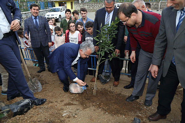 Okul bahçelerine meyve dikiliyor