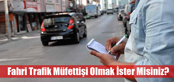 Trafik Müfettişliği devreye giriyor