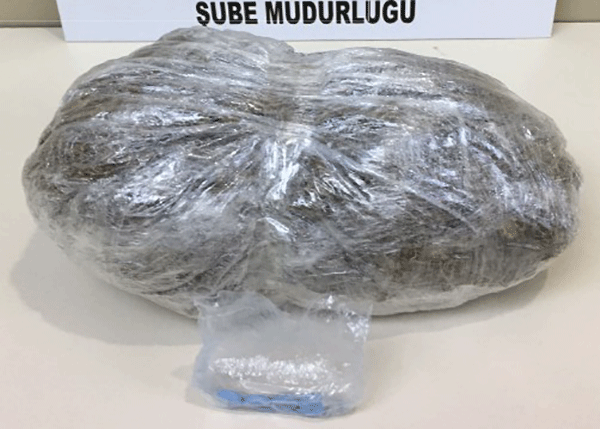 Kökü kuruyana kadar