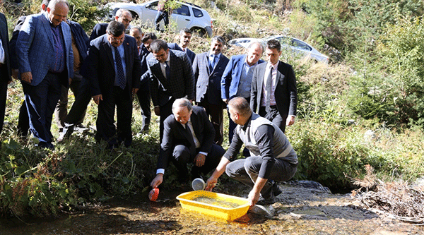 Taşkıran balıkla taşacak