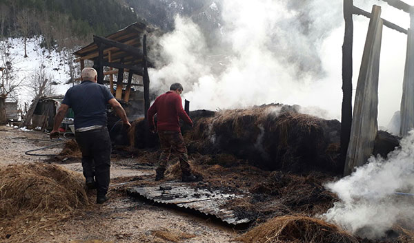 Artvin de yangın