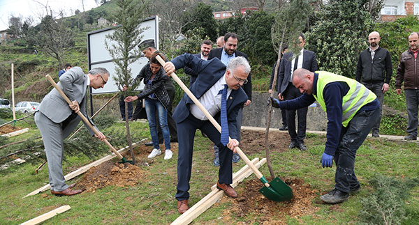 Afrin anısına orman