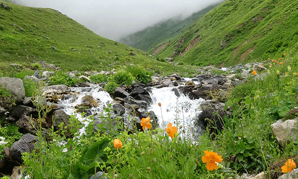 Rize yaylaları ziyaretçilerini bekliyor