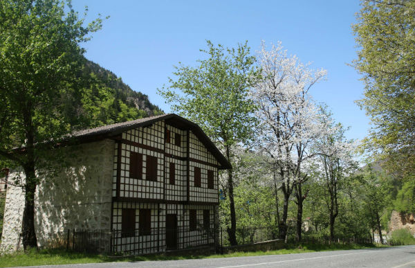 Rize`de Bahar Güzelliği