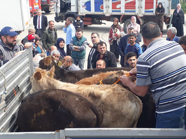 Çiftçi desteği sürüyor