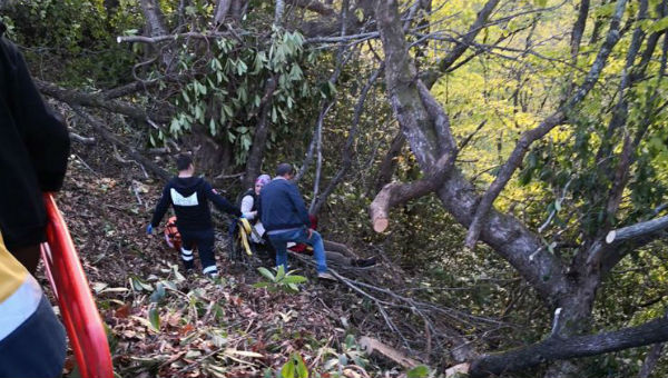 Kestiği ağaç üzerine düşünce 112 personeli seferber oldu