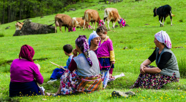 Yaylalara göç başladı