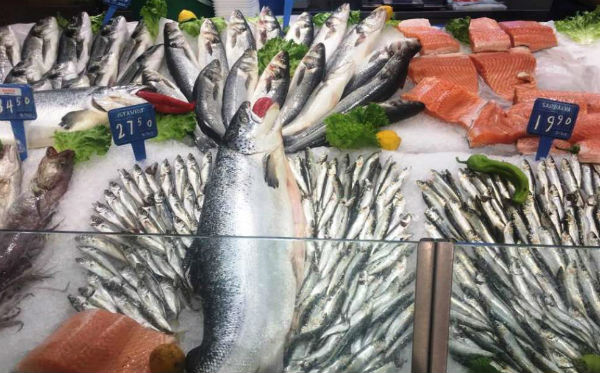 Doğu Karadenizde 107 bin 186 ton hamsi avlandı