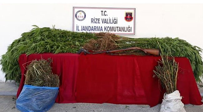 Rize`de uyuşturucu operasyonu: 1 kişi tutuklandı