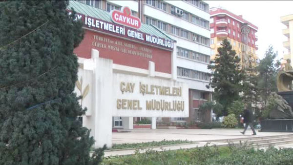 ÇAYKUR 2. Sürgün Çay Kotasını Açıkladı