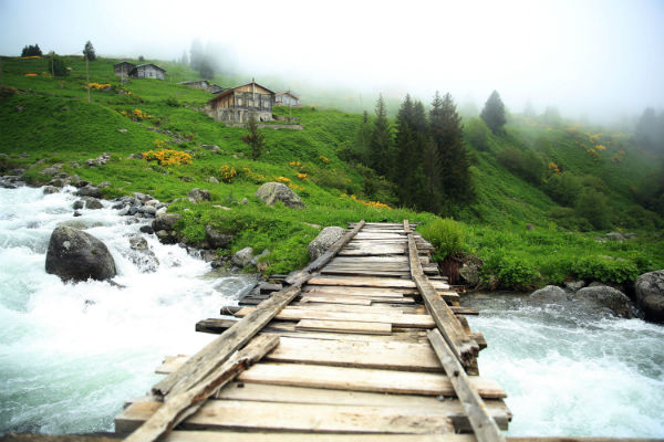 Karadeniz`in yeni gözdesi Elevit Yaylası