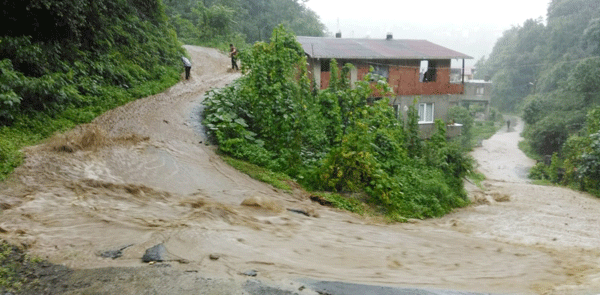 Rize`de sağanak; sel ve heyelana yol açtı