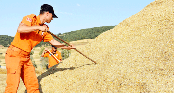 Evrim, gömülme ihtimaline karşı belirli noktalarda aranacak