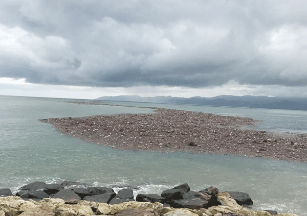 Tonlarca Fındık Denize Aktı