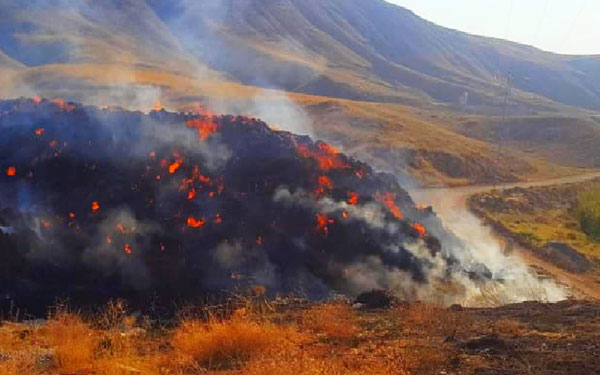 Yangında 4 bin balya saman küle döndü