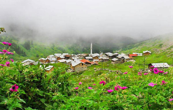 Rize yaylaları boş kalmadı