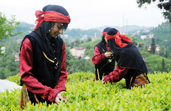 Çay sektörü nereye gidiyor?