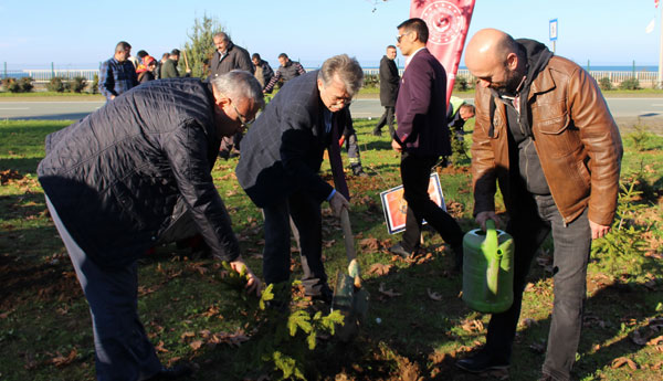 şiddete karşı ağaç diktiler