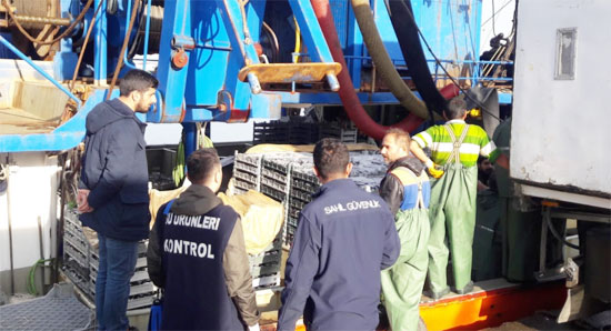 Sahil Güvenlikten Hamsi Denetimi