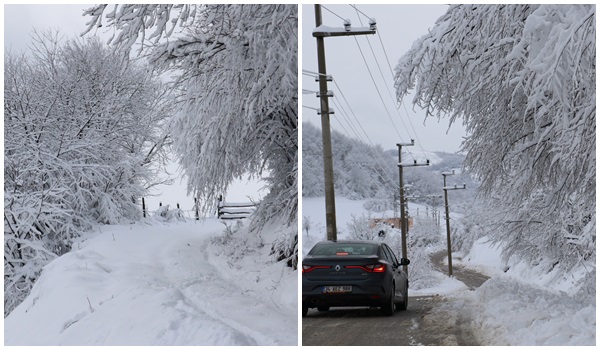 Karadenizde 801 köy yolu kardan kapandı