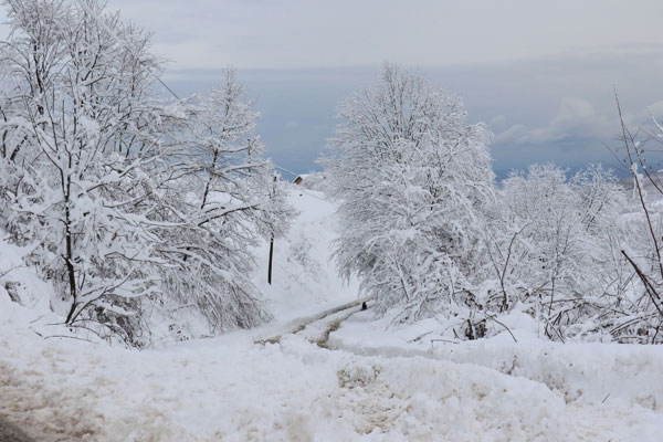 Soğuk hava evde tuttu