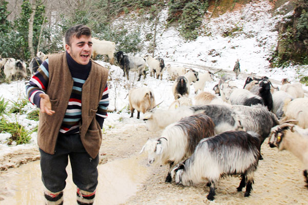 Rizeli çobanın türküleri sosyal medyada ilgi gördü