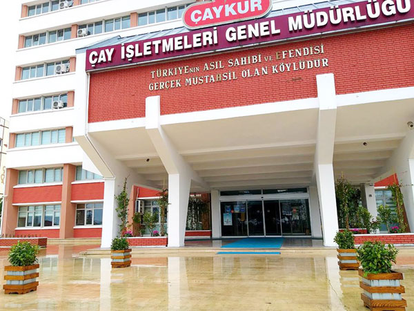 Çaykur Genel Müdürlüğü bahçesi çayla süslendi