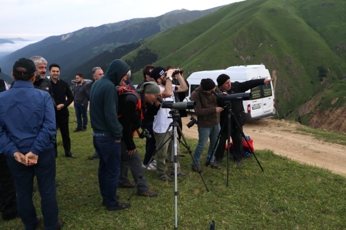 Dağ Horozu kendini gösterdi