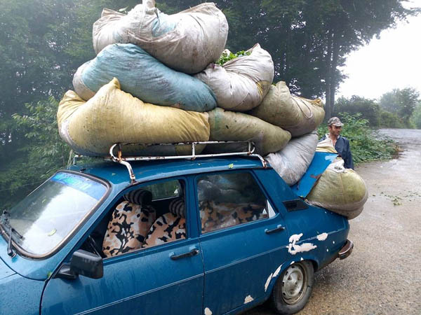 Çaylar kaldı TAMİYA