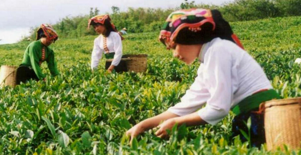 Üreticiyi yine kazık