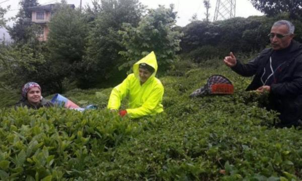 Özel sektör ne yapmak istiyor