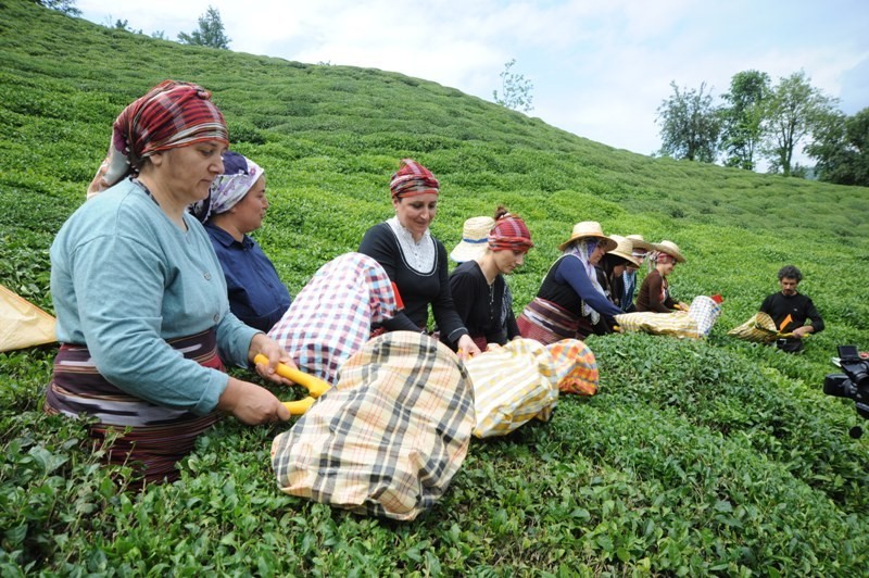 2019 da çay üreticisi kayıpta
