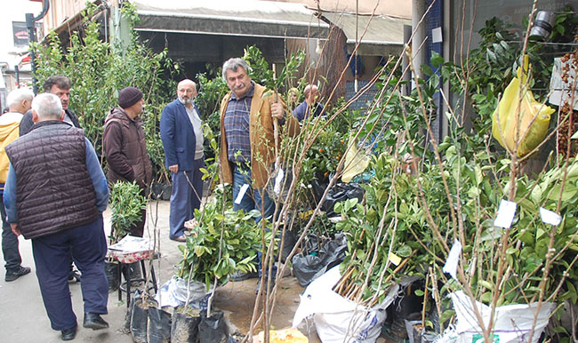 Kar yaktı esnaf güldü