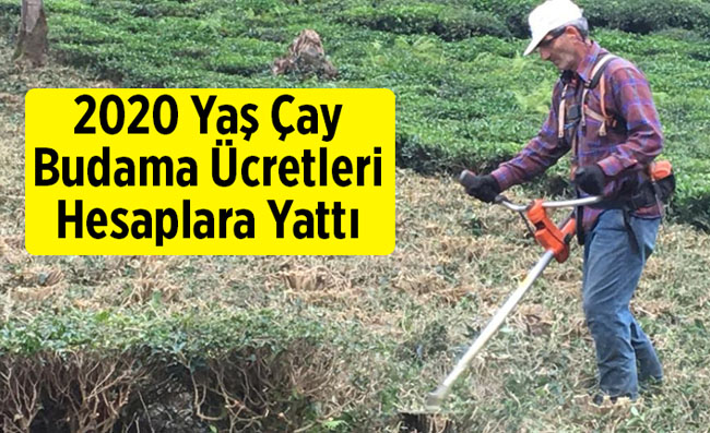 Budama bedelleri yattı