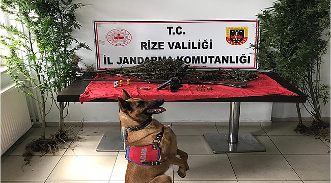 Jandarma Temmuz ayını boş geçmedi