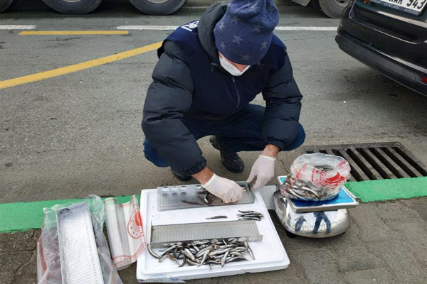 10 Ton balığa el kondu