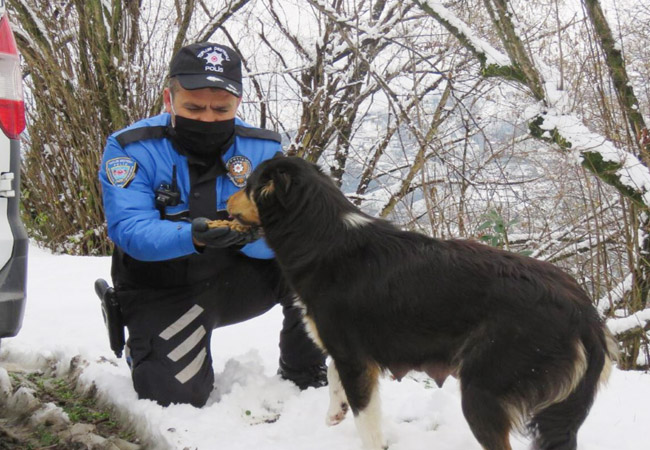 Belediye ve Polisler Sokak hayvanlarını besledi