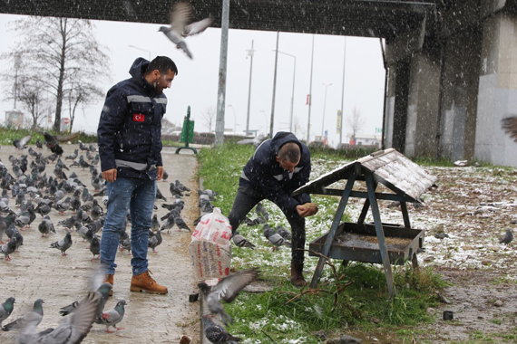 Sokak hayvanları yemlendi