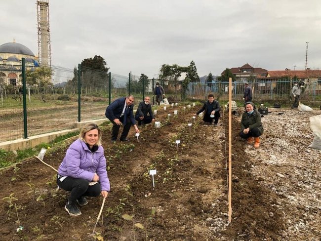 ÇAY GEN HAVUZU ÇAYIN GELECEĞİ