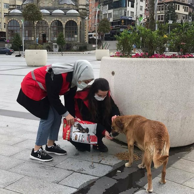 Türk Kızılay’ı Rize de kampanya başlattı