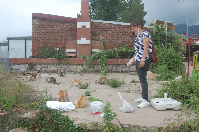 Öğretmenlerden kedilere vefa