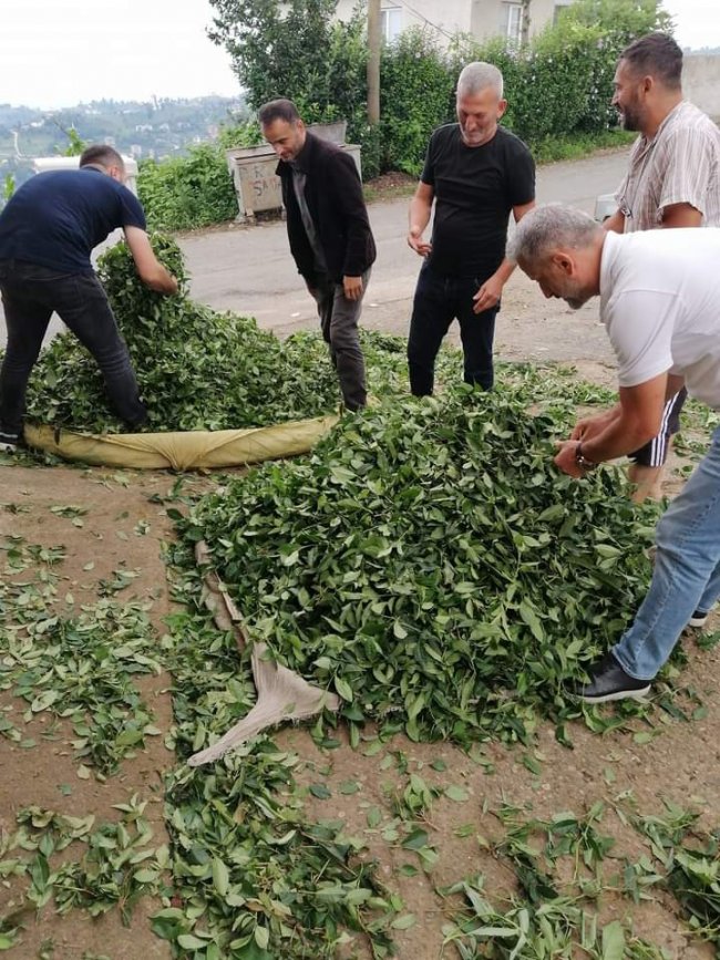 Özel sektör yatırıp kaldırıyor