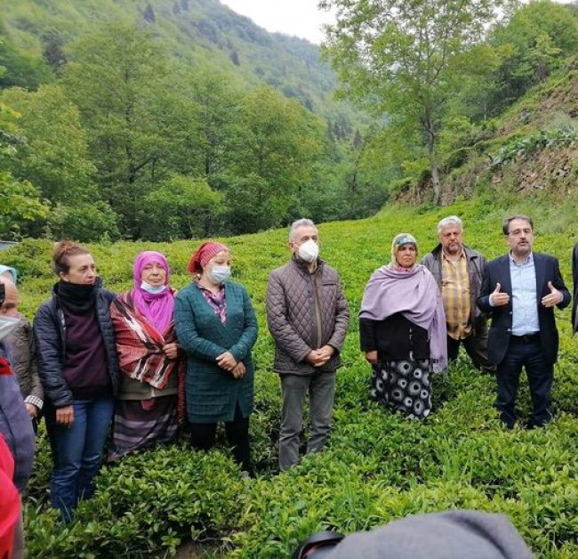 Çay üreticisi zaten afetin içinde