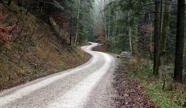 Orman yolu yaptırılacak