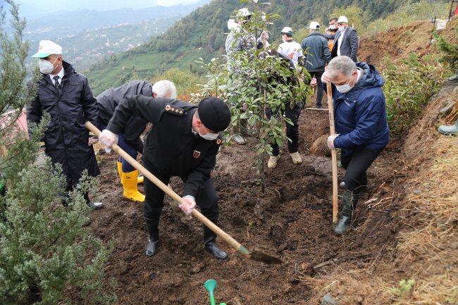 11 KASIM, SAAT 11.11’DE RİZE’DE FİDANLAR TOPRAKLA BULUŞTU…