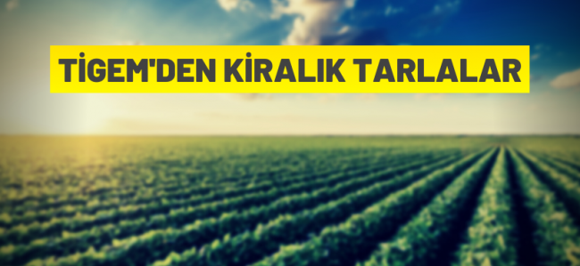 TİGEM'den kiralık tarlalar