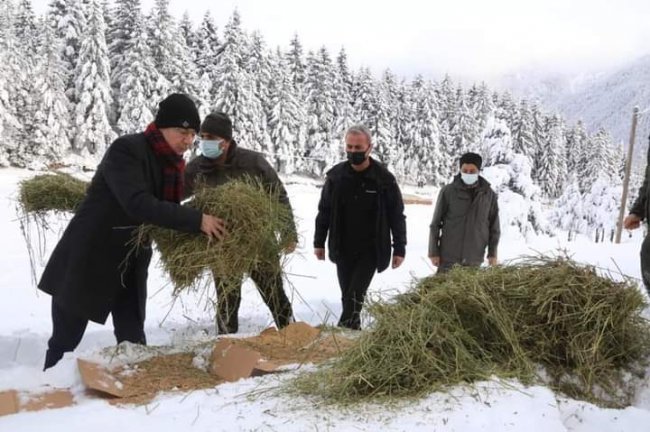 Doruk yaban hayvanlara yem bıraktı